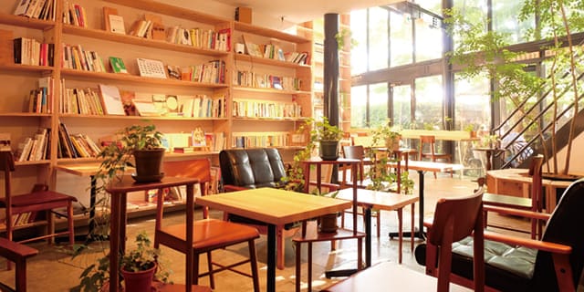 树和书（A TREE AND A BOOK）