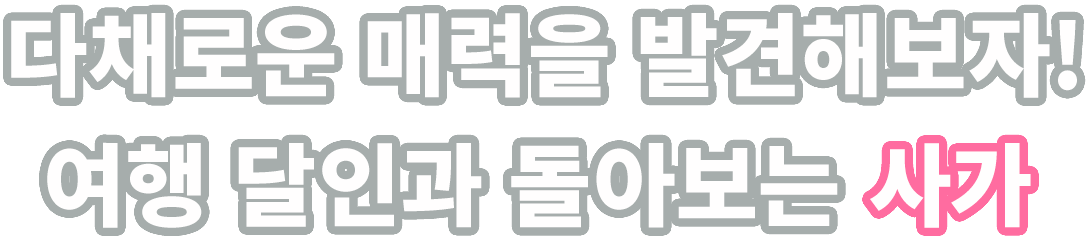 다채로운 매력을 발견해보자! 여행 달인과 돌아보는 사가